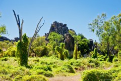 Geikie Gorge et ses falaises