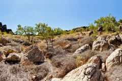 Panoramique près de Geikie Gorge, Fitzroy Crossing