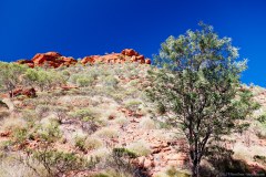 Les falaises de Kings Canyon