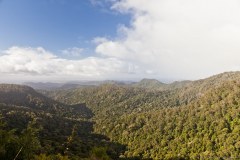 Springbrook National Park