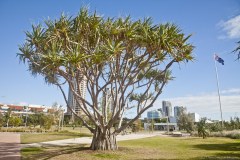 Plage de Southport, Gold Coast
