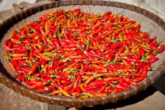 piment-seche
