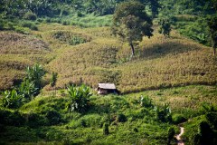 remontee-mekong1