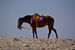 img_6635