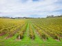 Etat du South Australia