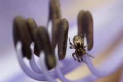 img_8367_1