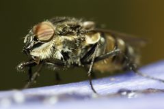 img_8396_1