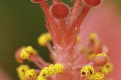 img_8567_1