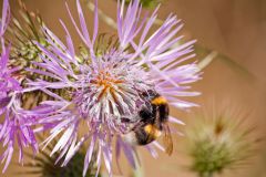 img_8880_1