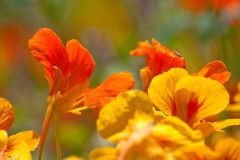 img_8884_1