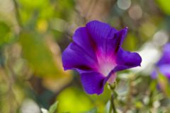 img_8901_1
