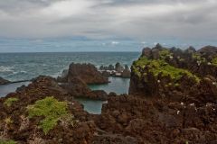 img_9132_1