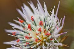 img_9281_1