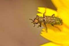 img_9314_1