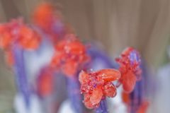 img_9320_1
