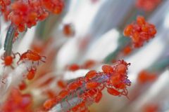 img_9329_1