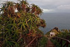 img_9430_1