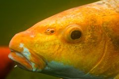 img_9480_1