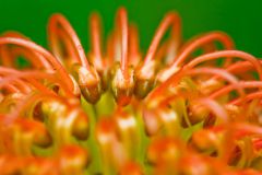 img_9506_1