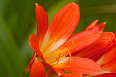 img_9518_1