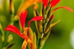 img_9529_1