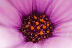 img_9533_1