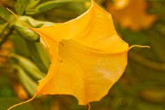 img_9543_1
