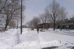 photo-114