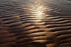 Sable, Coral Bay