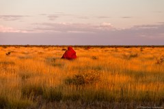 Sunset, Crabe, Cape Range National Park