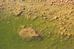 Yardie Creek vu d'en haut