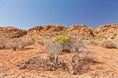 Randonnée de Yardie Creek