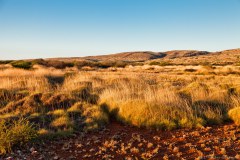 Végétation, Cape Range National Park