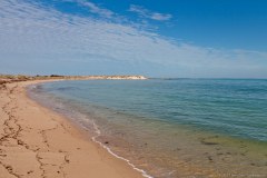 T-bone beach