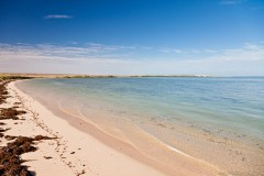 Mangrove Bay