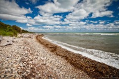 Plage des pingouins de Lilico