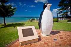 La ville de Pinguin