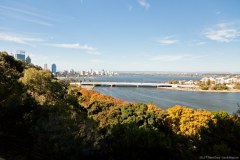 Depuis Kings Park