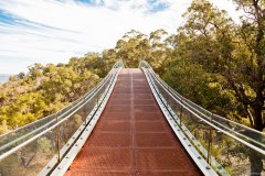 Pont, Kings Park