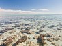 Shark Bay