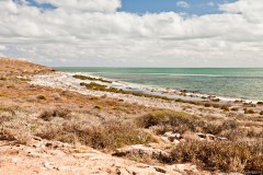 Shark Bay, World Heritage Site