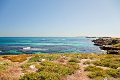 Plage de Penguin Island