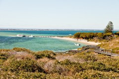 Penguin Island