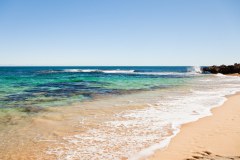 Plage, Penguin Island