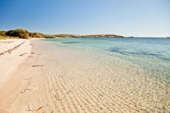 Plage de sable blanc de Penguin Island