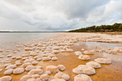 Les strombolites du lac Clifton