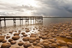 Thrombolites, lac Clifton