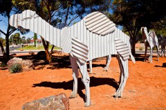Camel, Norseman