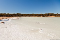 Le lac Windabout, Esperance