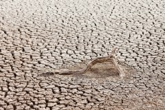 Terre craquelée dans le lac de Monjigup